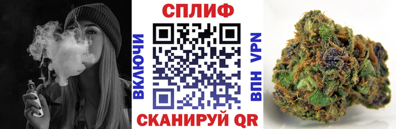 Лсд 25 Гурьевск