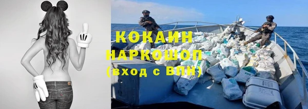 индика Балахна