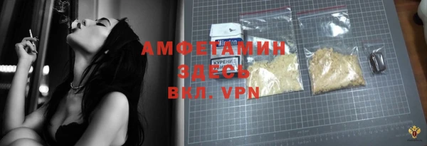 индика Балахна