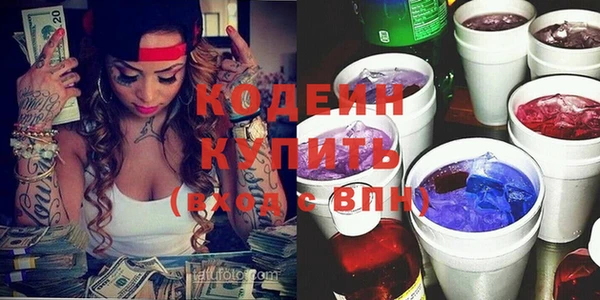 индика Балахна