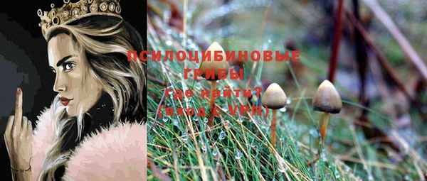индика Балахна
