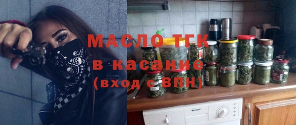 индика Балахна
