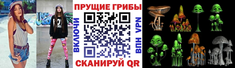 Галлюциногенные грибы Psilocybine cubensis  гидра ТОР  shop клад  Гурьевск 